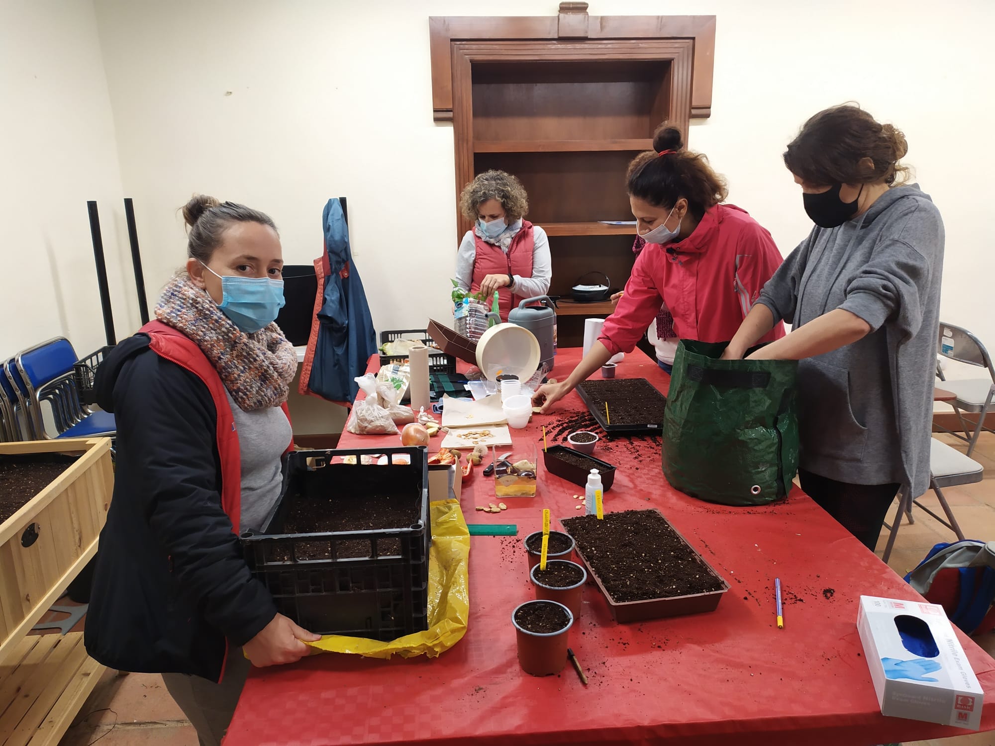 Talleres agricultura urbana