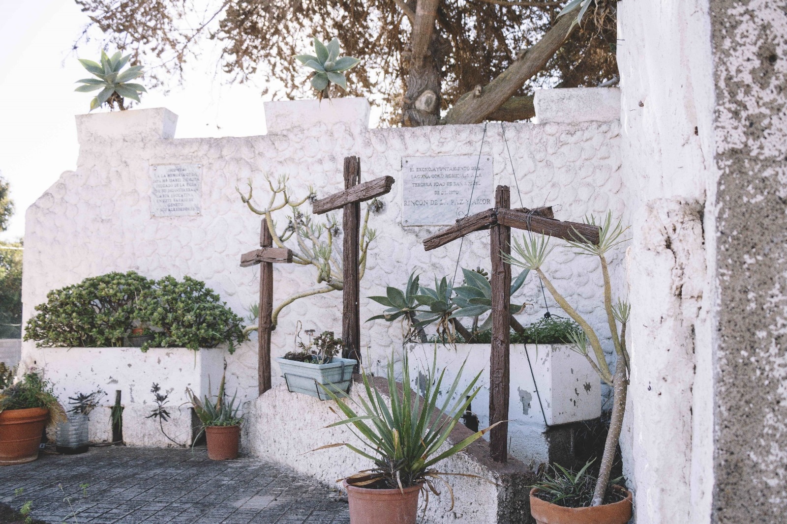 Calvario_Las_Cruces