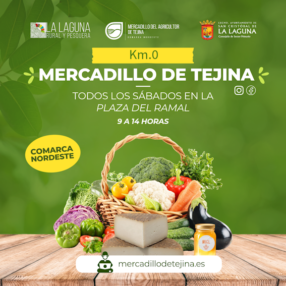 Mercadillo de Tejina2 Mercadillo de Tejina2