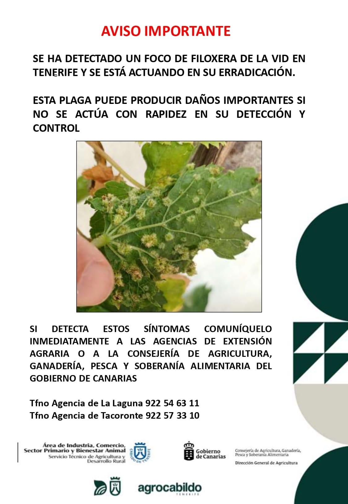 filoxera-agp-cab filoxera-agp-cab